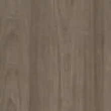 Вяз Благородный