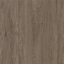 Дуб Верцаска