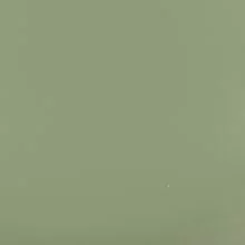 Мятный NX-G-09