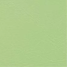 Винилкожа 21