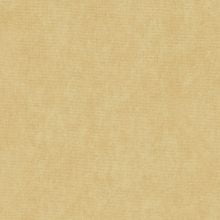 Ткань велюр T-4 светло-бежевый