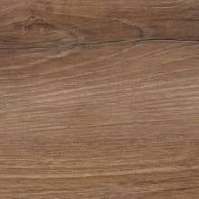 Дуб американский