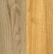 Дуб золотой/Дуб Тортуга