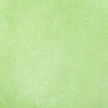 Зеленый Velvet 81