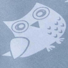 Белые совы на сером