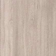 Дуб Сантана светлый