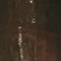 темно коричневый