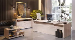 Кабинет Torr Z от Skyland