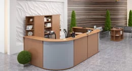 Ресепшен Imago-R от Skyland