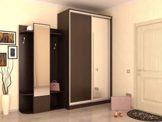 Шкаф-купе Хит-24-12-15 Аруба Венге