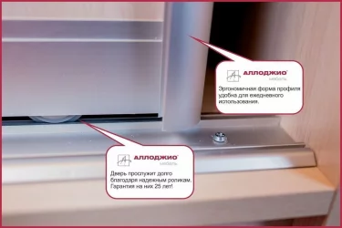 Шкаф-купе Хит-24-14-77 Париж Ясень шимо темный