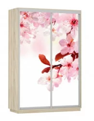 Шкаф-купе двухдверный Экспресс Дуо 1400х2400х Сакура/Дуб сонома / 1400х2400h