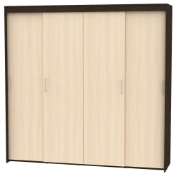 Шкаф-купе T-5-230х235х45(Венге-ДМ-8)