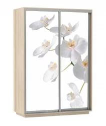 Шкаф-купе двухдверный Экспресс Дуо 1400х2200х Белая орхидея/Ясень шимо светлый / 1400х2200h