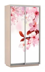 Шкаф-купе двухдверный Экспресс Дуо 1200х2200х Сакура/Дуб молочный / 1200х2200h