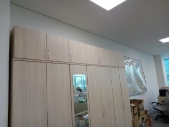 Антресоль Twin 16.13.13Пр Туя