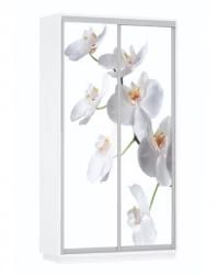 Шкаф-купе белый Экспресс Дуо 1200х2200х Орхидея белая/Белый снег / 1200х2200h