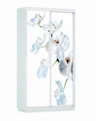 Шкаф-купе со стеклом Экспресс Хит Орхидея белая/Белый снег