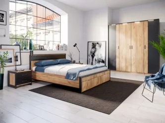 Шкаф двухстворчатый с комбинированными дверями и паспарту Техно 041 Дуб Золотой Черный