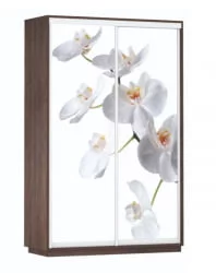 Шкаф-купе двухдверный Экспресс Дуо 1600х2200х Белая орхидея/Венге / 1600х2200h