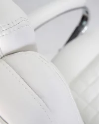 Офисное кресло для руководителей DOBRIN CHESTER Белый