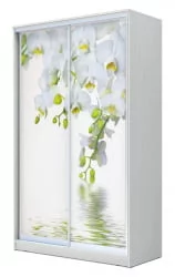 Шкаф-купе Хит-24-17-77 Орхидея Белая шагрень