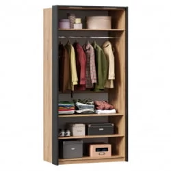 Шкаф двухстворчатый с комбинированными дверями и паспарту Техно 041 Дуб Золотой Черный