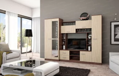 Гостиная Марта-11 (Эра) Ясень шимо темный/Ясень шимо светлый