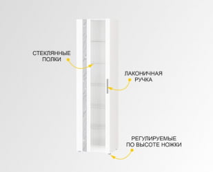 Модульный шкаф в гостиную Николь 603.06
