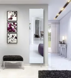 Шкаф с зеркалом Драйв Шелф (правый) Венге