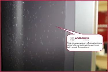 Шкаф-купе Хит-24-14-77 Орхидея Ясень шимо темный