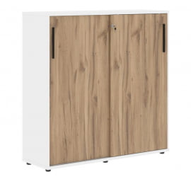 Шкаф с дверьми-купе ЕДИС ЕМC 1343 Дуб Денвер светлый Черный Белый / EDIS EMC