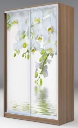 Шкаф-купе Хит-23-12-77 Орхидея Ясень шимо темный