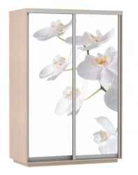 Шкаф-купе с фотопечатью Экспресс Дуо 1600х2200х Белая орхидея/Дуб молочный / 1600х2200h