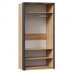 Шкаф двухстворчатый с комбинированными дверями и паспарту Техно 041 Дуб Золотой Черный