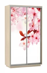 Шкаф-купе двухдверный Экспресс Дуо 1200х2400х Сакура/Ясень шимо светлый / 1200х2400h