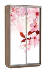 Шкаф-купе с фотопечатью Экспресс Дуо 1200х2400х Сакура/Ясень шимо тёмный / 1200х2400h