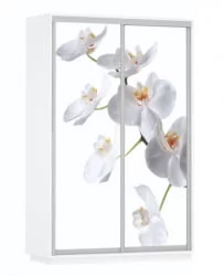 Шкаф-купе двухдверный Экспресс Дуо 1600х2200х Белая орхидея/Белый снег / 1600х2200h