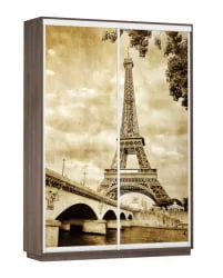 Шкаф-купе двухдверный Экспресс Дуо 1600х2200h Париж/Венге