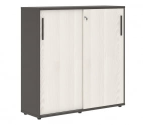 Шкаф с дверьми-купе ЕДИС ЕМC 1343 Ясень Траун Мокко Мокко / EDIS EMC