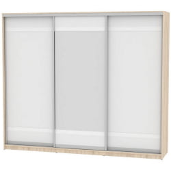 Шкаф-купе B-220х270х60-2(ДСС-Белый-D9D10D9)