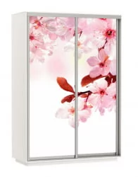 Шкаф-купе двухдверный Экспресс Дуо 1400х2400х Сакура/Белый снег / 1400х2400h