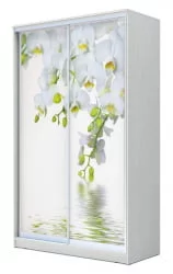 Шкаф-купе Хит-23-14-77 Орхидея Белая шагрень