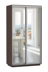 Шкаф-купе в гостиную комнату Экспресс Хит Экспенс Венге