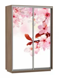 Шкаф-купе с фотопечатью Экспресс Дуо 1600х2200х Сакура/Ясень шимо тёмный / 1600х2200h