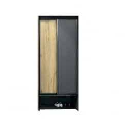 Двустворчатый гардеробный шкаф Ольга-Лофт 10.1 Дуб Крафт золотой Темно-серый