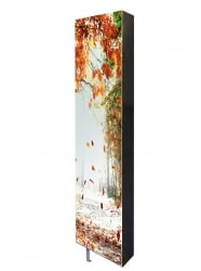 Шкаф с зеркалом Драйв Шелф Арт (правый) Беленый дуб