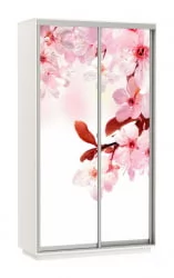 Шкаф-купе двухдверный Экспресс Дуо 1200х2200h Сакура/Белый снег