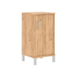 Стеллаж дверь ДСП с замком В411.3 Z/R Дуб Бофорд