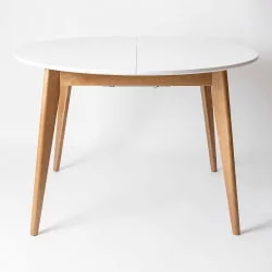 Стол обеденный Орион Plus 100x100 Эмаль белая Морилка Орех